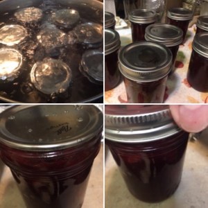 48fd46a1-239e-4b93-bc73-8199d3db073c